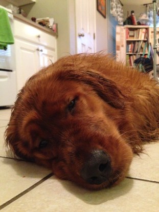 post walk repose head shot