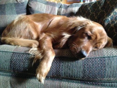 Copper's reality...right now