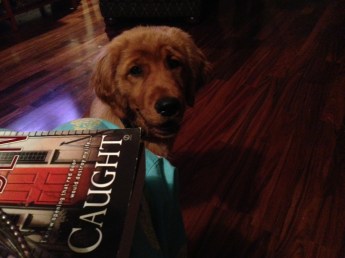 Copper Caught 3 1:2 months