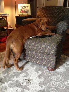 copper over the shoulder look