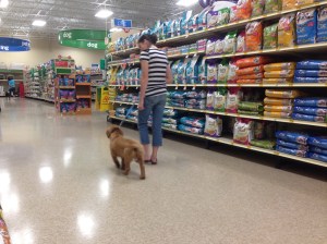 Copper in school, age 11 weeks