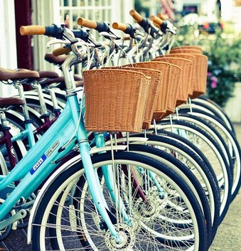 bikes in a row emily a clark