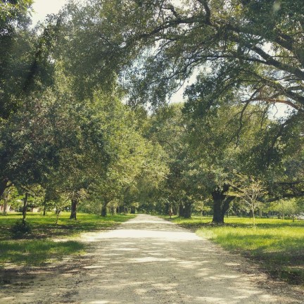 Charles Phillips - 7